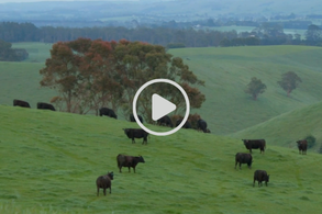 Earth Day Down Under