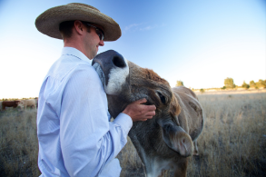 The Grassfed Boom by the Numbers