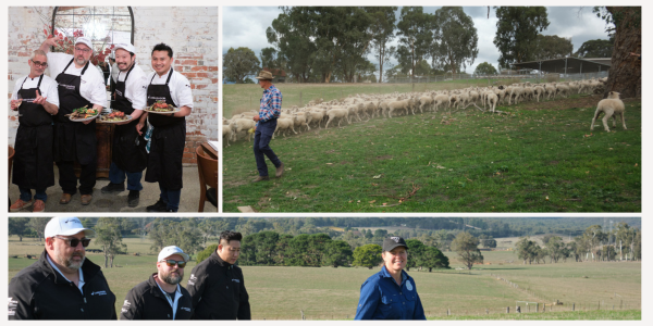 Lambassadors Down Under