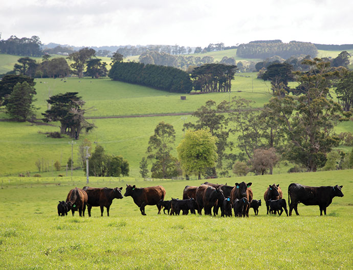 Setting a bold standard for sustainability